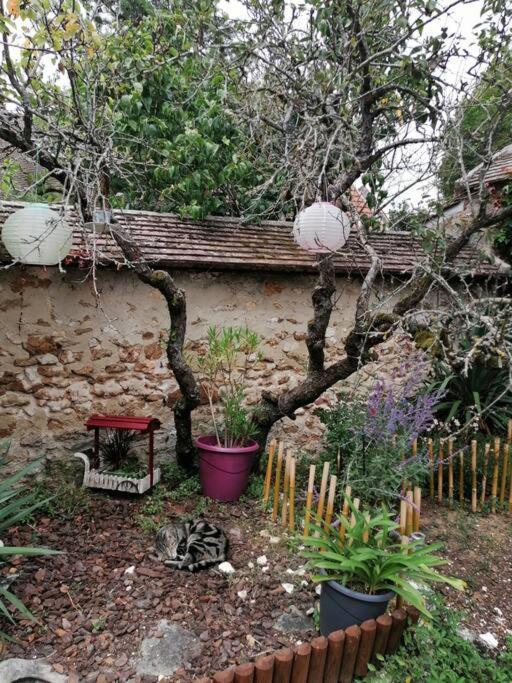 Maison A Proximite De Barbizon / Fontainebleau / A6 Saint-Sauveur-sur-Ecole ภายนอก รูปภาพ